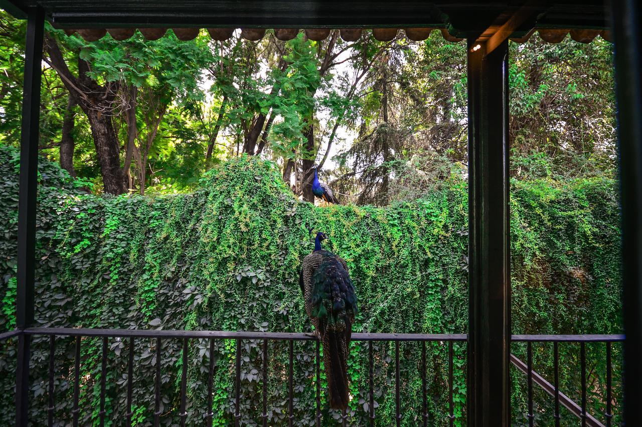 Hotel Legado Alcazar (Adults Only) Seville Luaran gambar